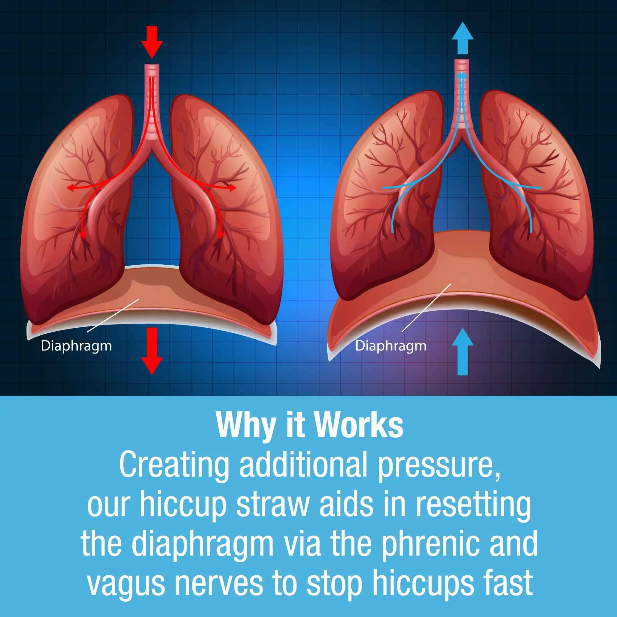 Tilcare Hiccup Straw diaphragm