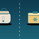 insulated bag vs cooler