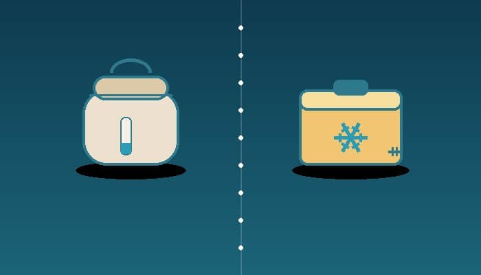 insulated bag vs cooler
